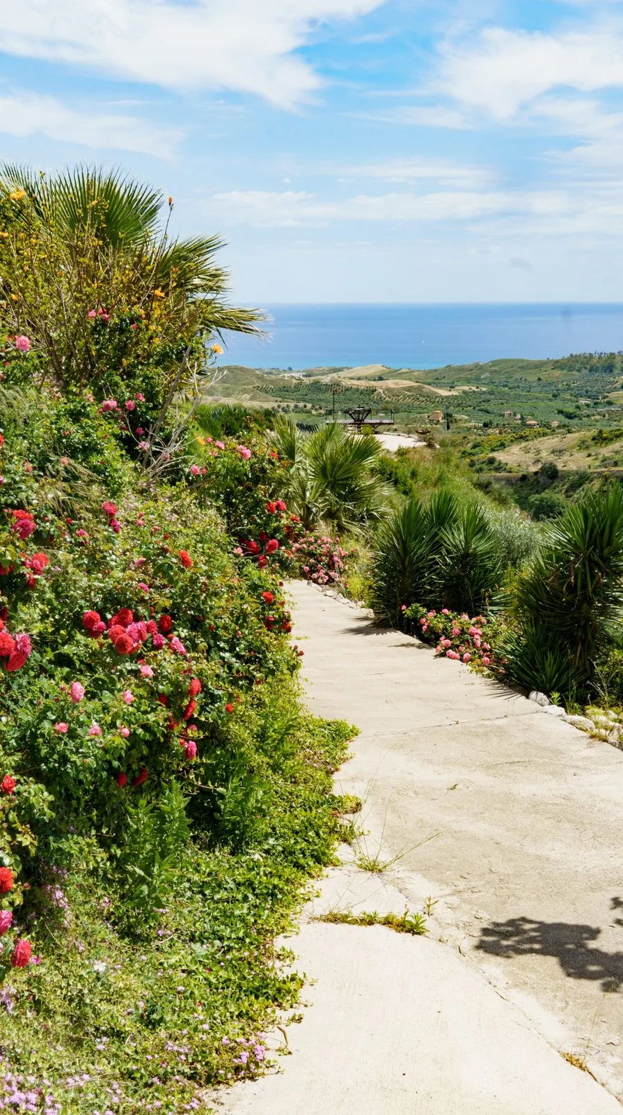 Rose Road in Calabria with roses, natural stone paths and Mediterranean light – image 1
